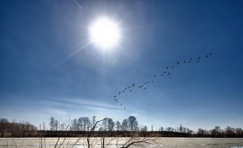 Весняне рівнодення – Великдень – Новоліття